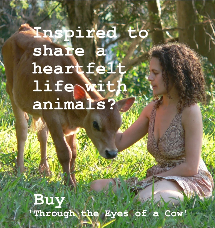Buy the book Buy the book