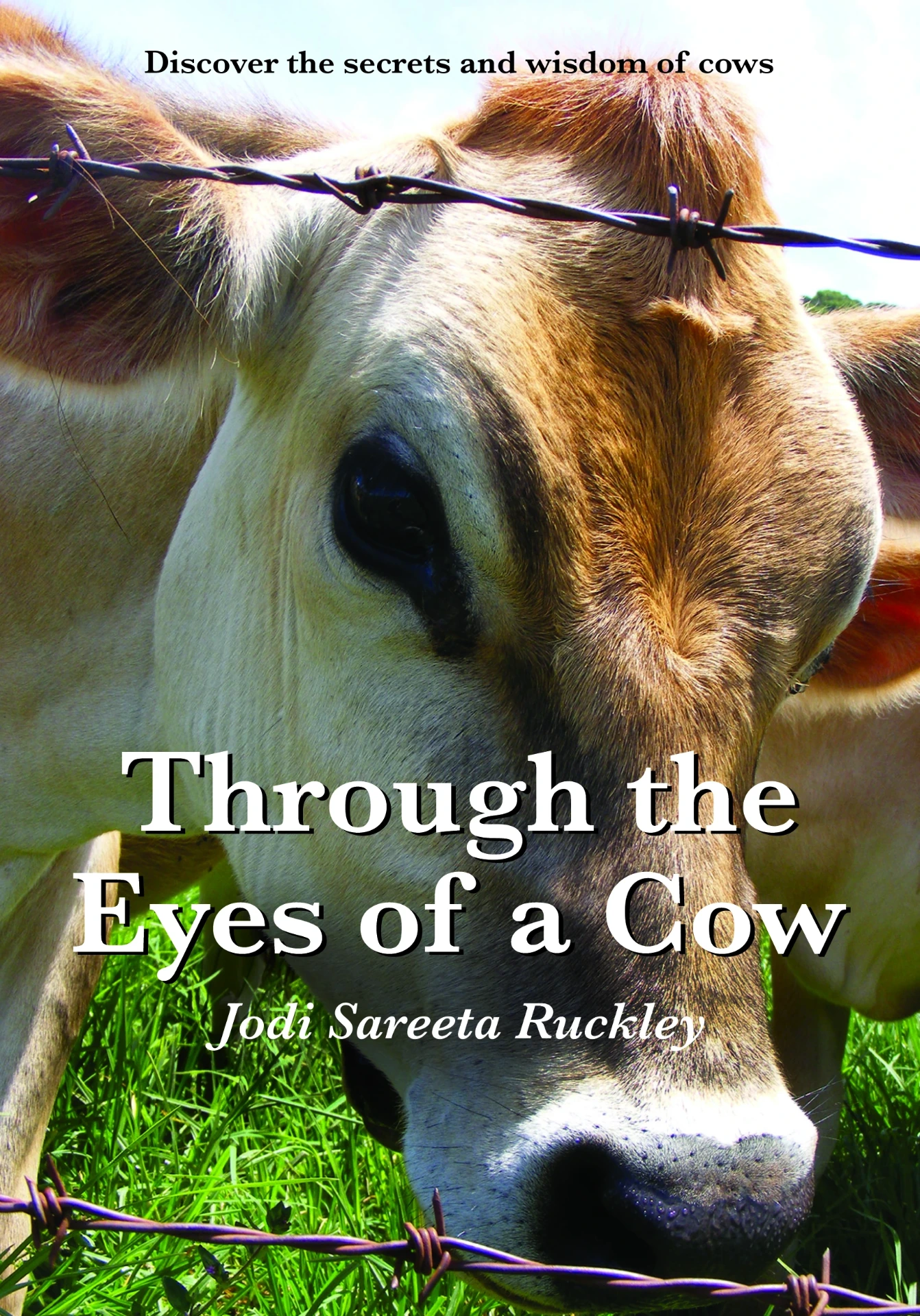 Through the Eyes of a Cow