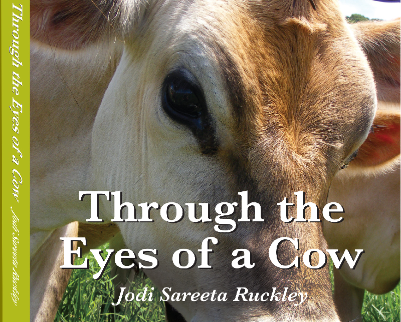 Book written by Jodi Ruckley, through the eyes of a Cow