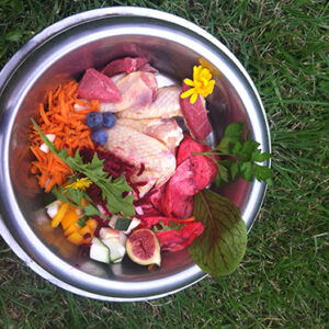 Image of beautiful fresh raw food as advised in our Nutrition chart for Cat and Dogs