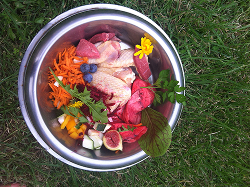 Image of beautiful fresh raw food as advised in our Nutrition chart for Cat and Dogs